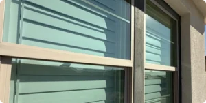Window Cleaning Service